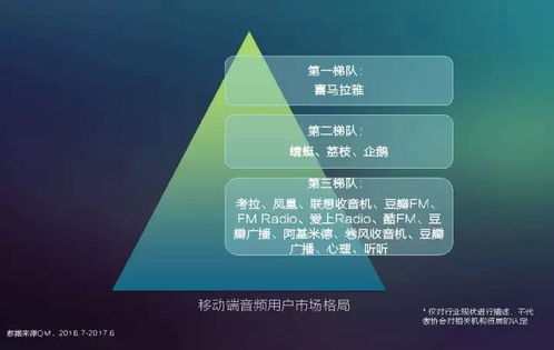 2017中國網(wǎng)絡視聽發(fā)展報告 用戶付費意識崛起與網(wǎng)生內(nèi)容品質(zhì)化轉(zhuǎn)型