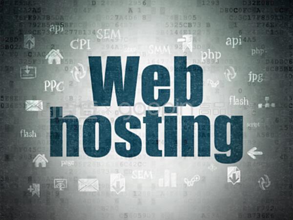 數(shù)字數(shù)據(jù)紙背景下的網(wǎng)絡開發(fā)與網(wǎng)絡托管概念解析